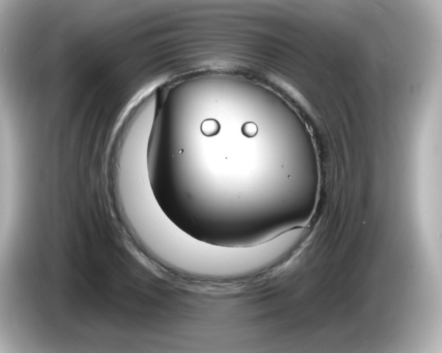 X0000086041026200704091147