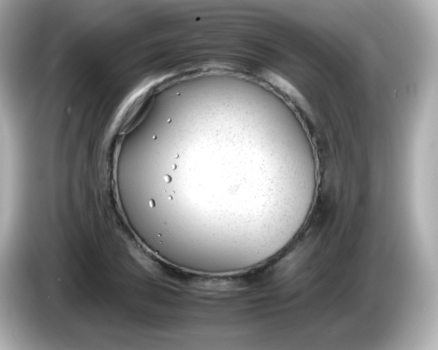 X0000086041027200704091147