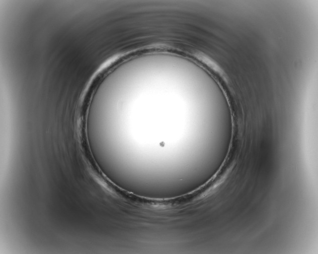 X0000086041029200704091147