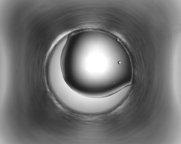 X0000086041030200704091147