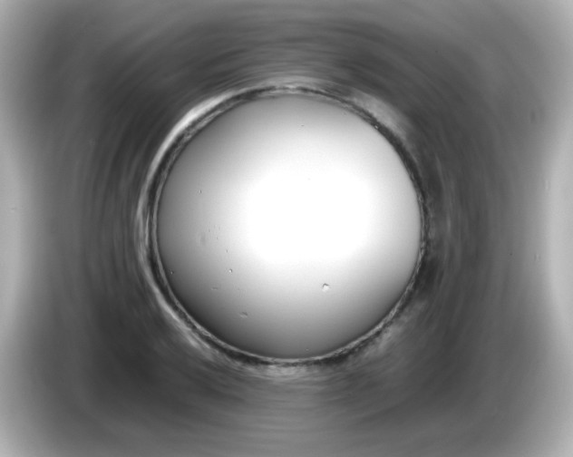 X0000086041032200704091147