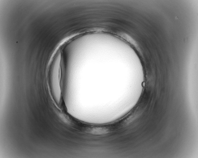 X0000086041035200704091147