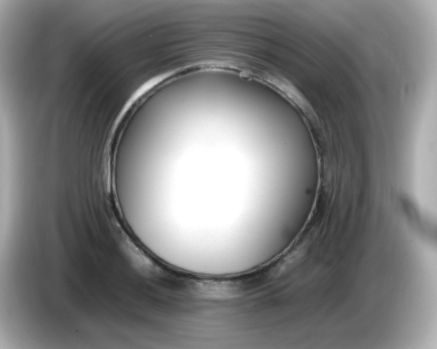 X0000086041036200704091147
