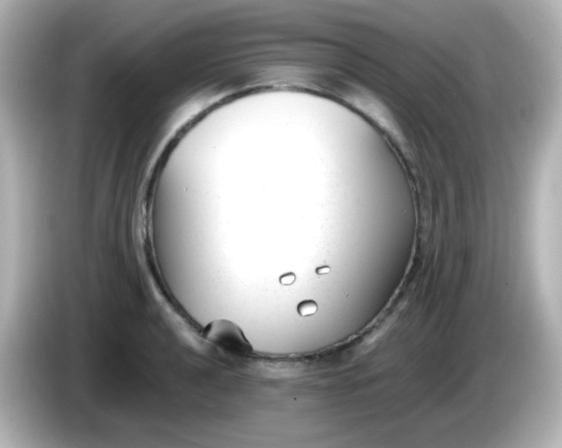 X0000086041040200704091147
