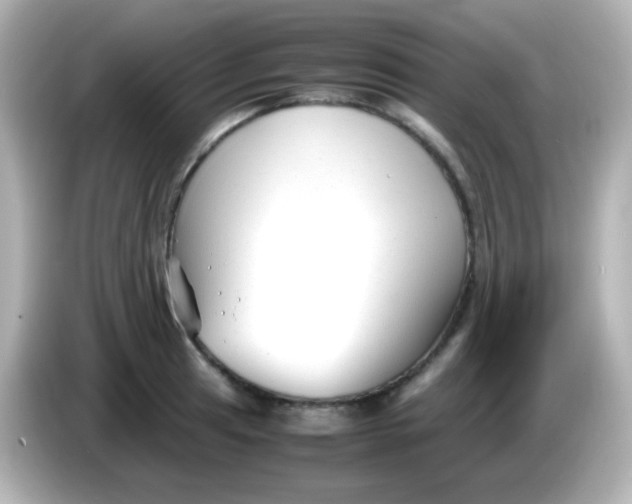 X0000086041041200704091147