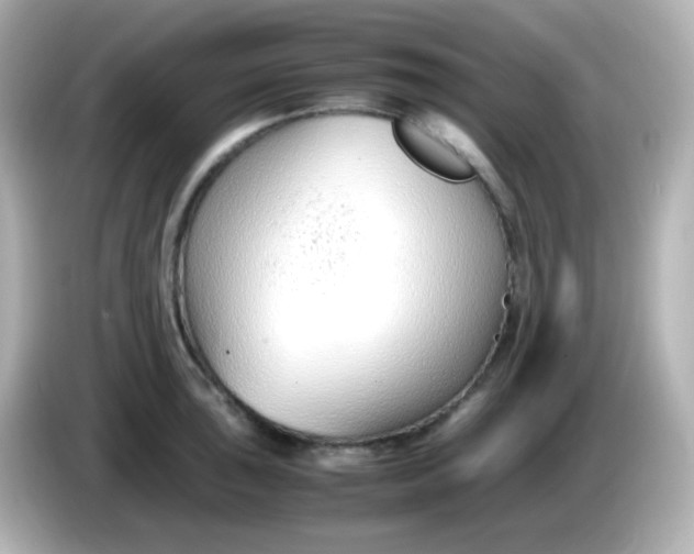 X0000086041043200704091147