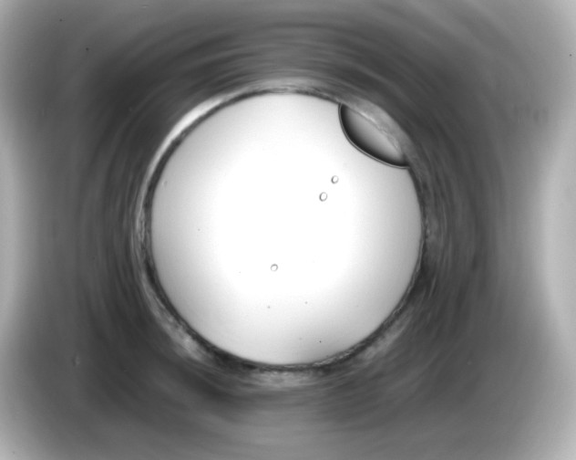X0000086041044200704091147