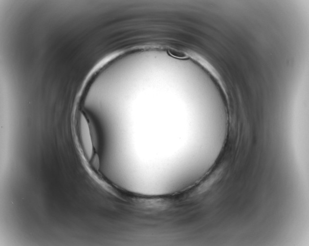 X0000086041045200704091147