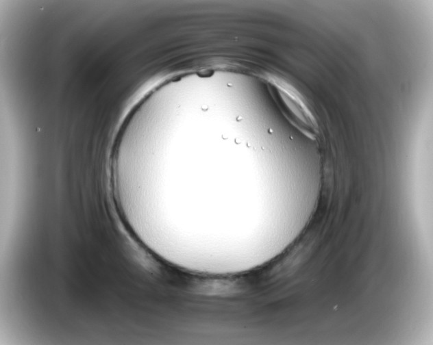 X0000086041047200704091147