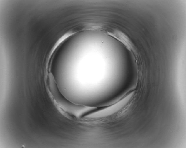 X0000086041050200704091147