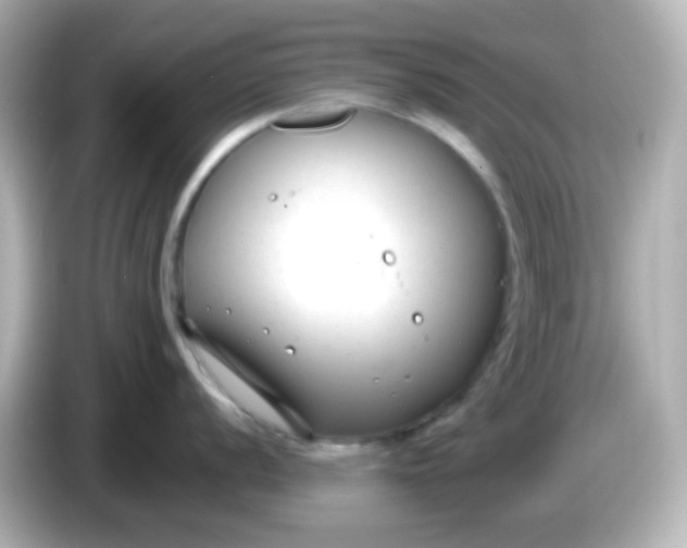 X0000086041056200704091147