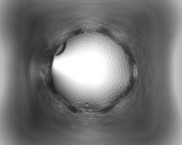 X0000086041059200704091146