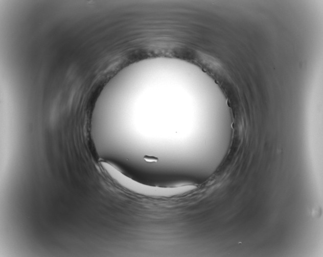 X0000086041060200704091146