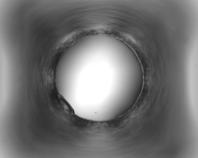 X0000086041062200704091146