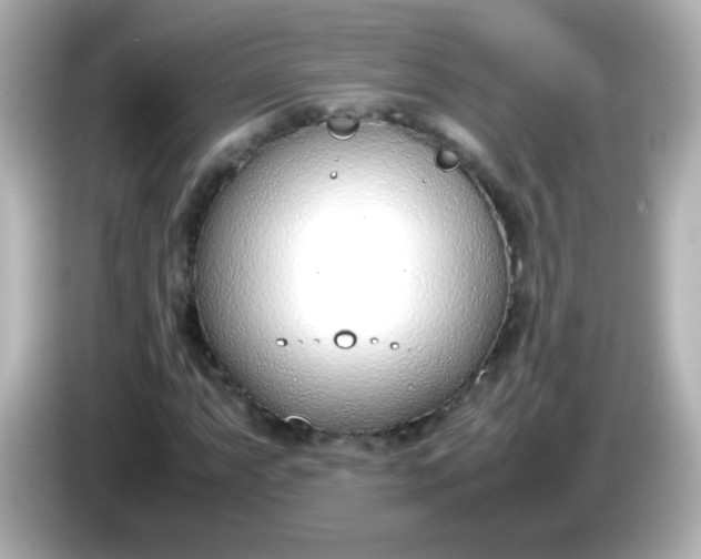 X0000086041063200704091146