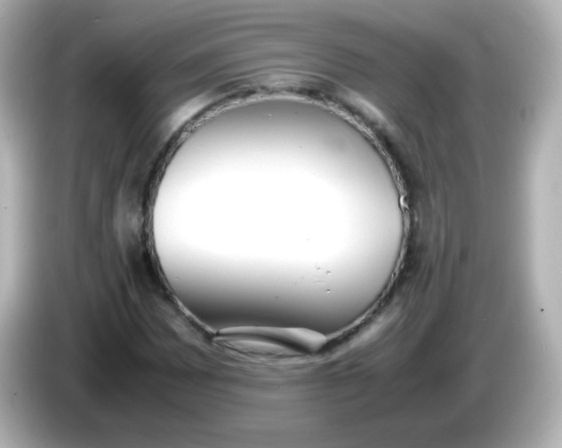 X0000086041065200704091146