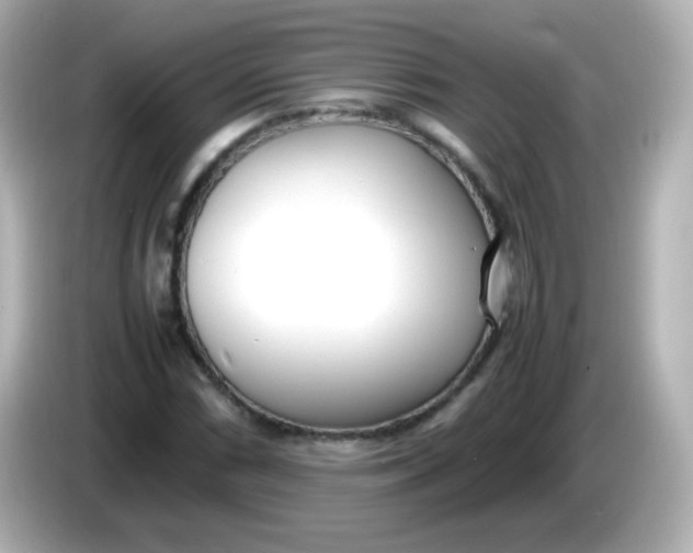 X0000086041066200704091146