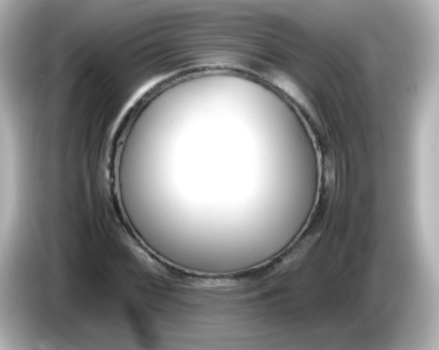 X0000086041068200704091146