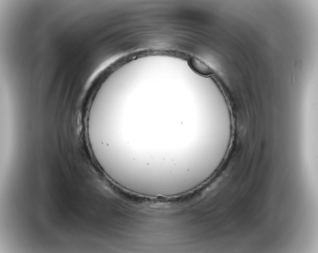 X0000086041070200704091146