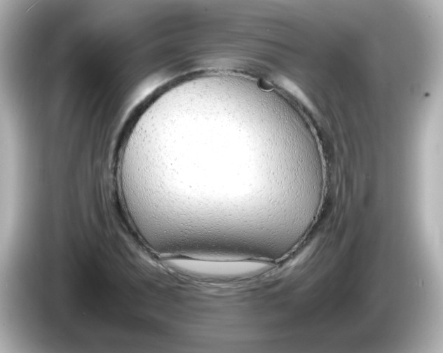 X0000086041071200704091146