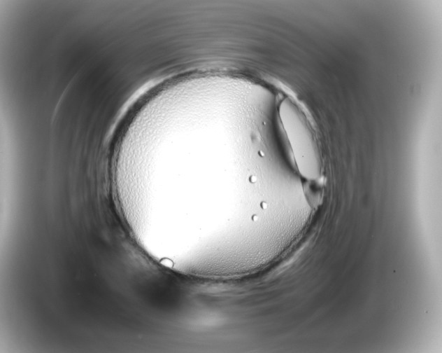 X0000086041075200704091146