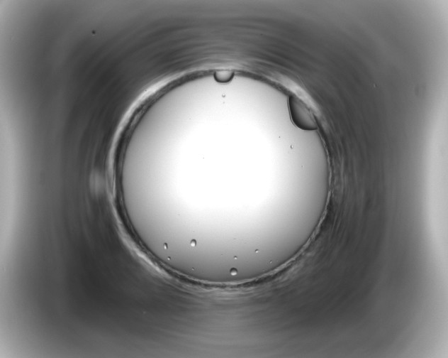 X0000086041080200704091146