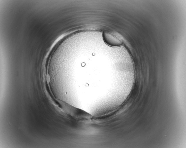 X0000086041083200704091146
