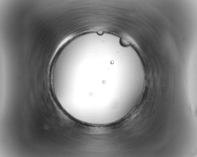 X0000086041087200704091146