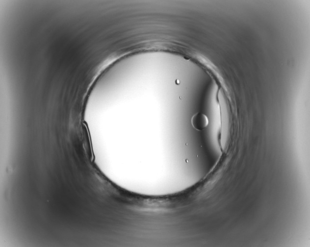 X0000086041089200704091146