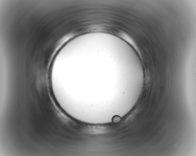 X0000086041090200704091146