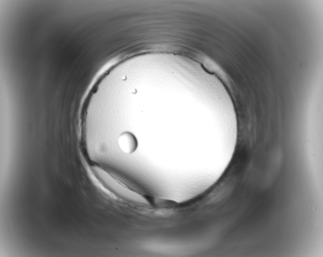 X0000086041095200704091146