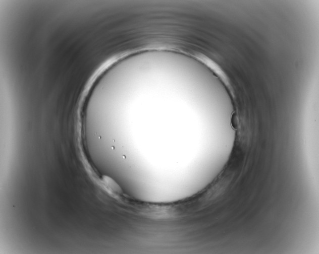 X0000086041096200704091146