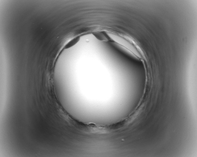 X0000086041097200704091146