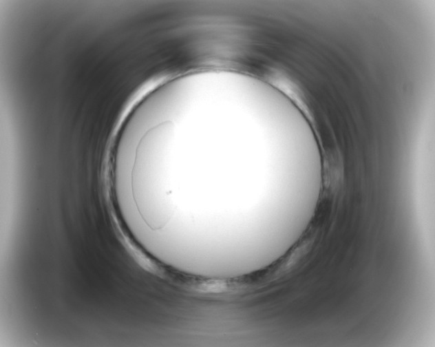 X0000086041098200704091146