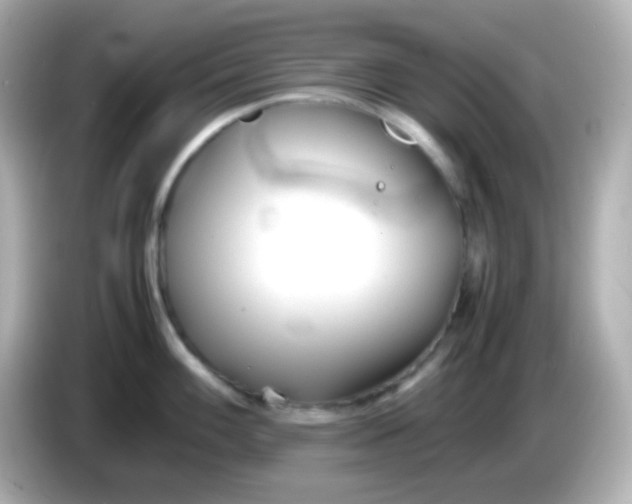 X0000086041100200704091146