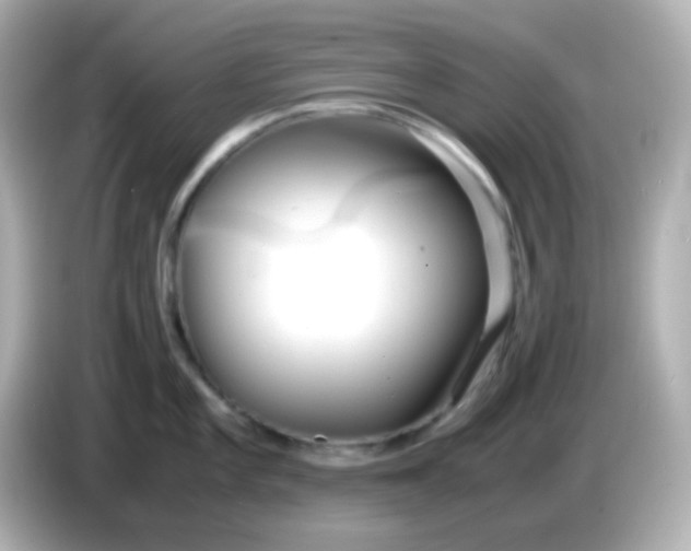 X0000086041101200704091146