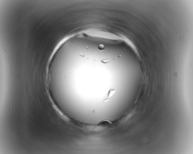 X0000086041103200704091146