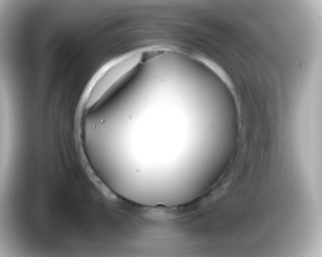 X0000086041104200704091146