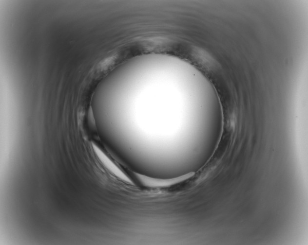 X0000086041108200704091145