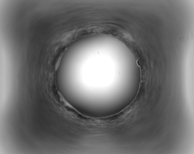 X0000086041109200704091145