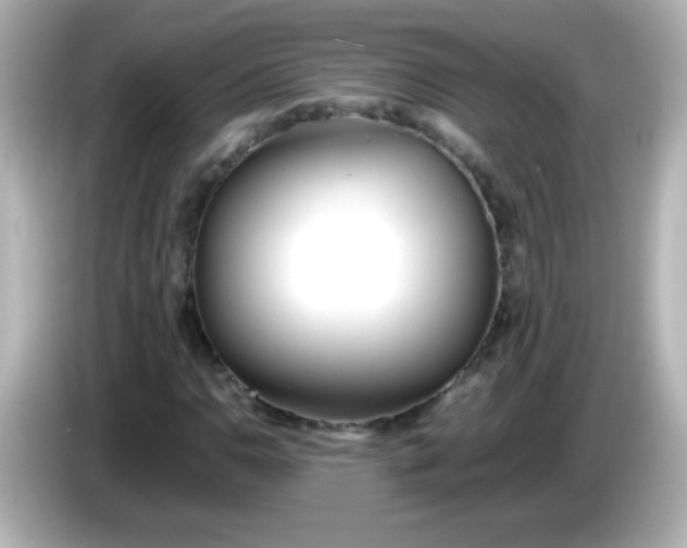 X0000086041110200704091145