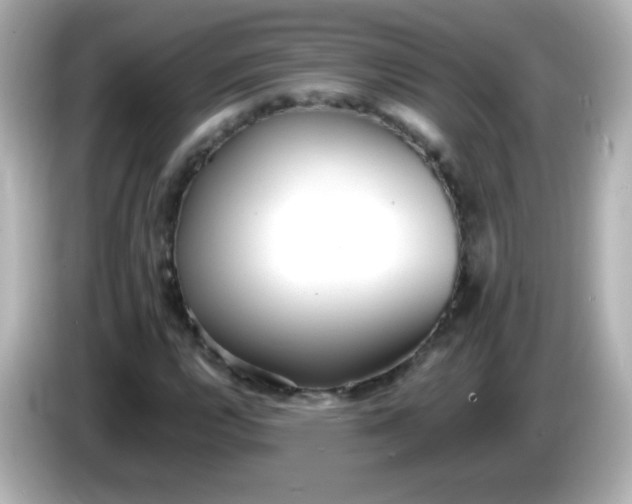 X0000086041112200704091145