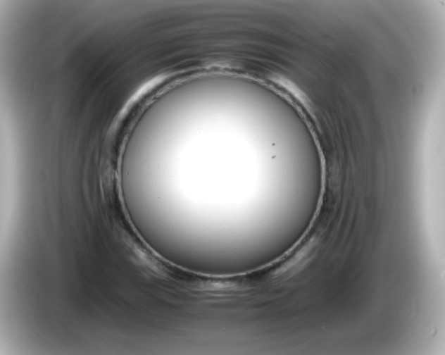 X0000086041115200704091145
