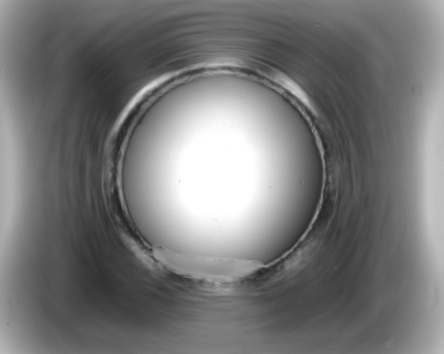 X0000086041116200704091145