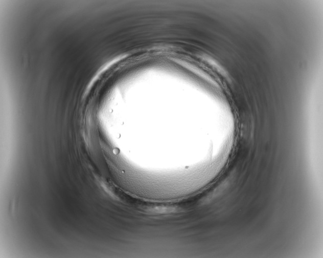 X0000086041117200704091145