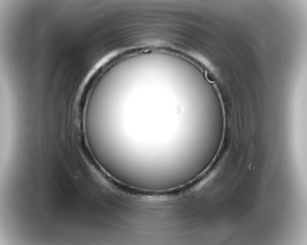 X0000086041118200704091145