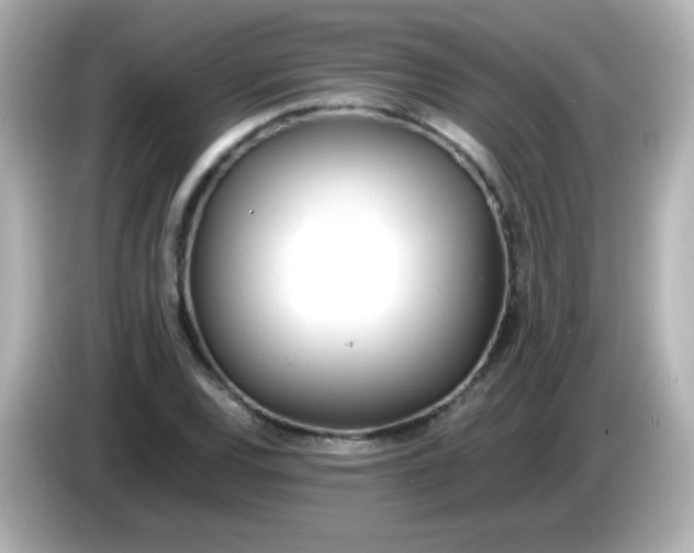 X0000086041120200704091145