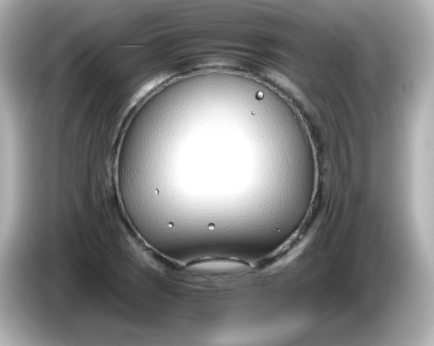X0000086041121200704091146