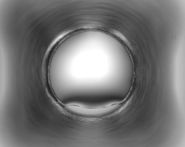 X0000086041122200704091146