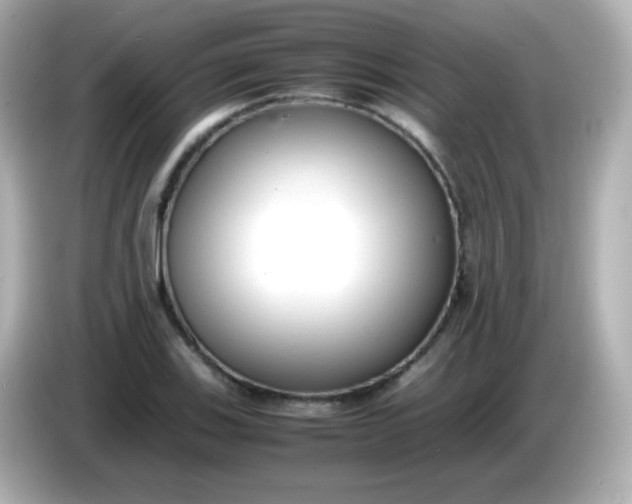 X0000086041123200704091146
